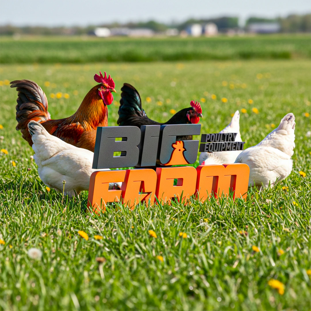 Big Farm Poultry Equipment