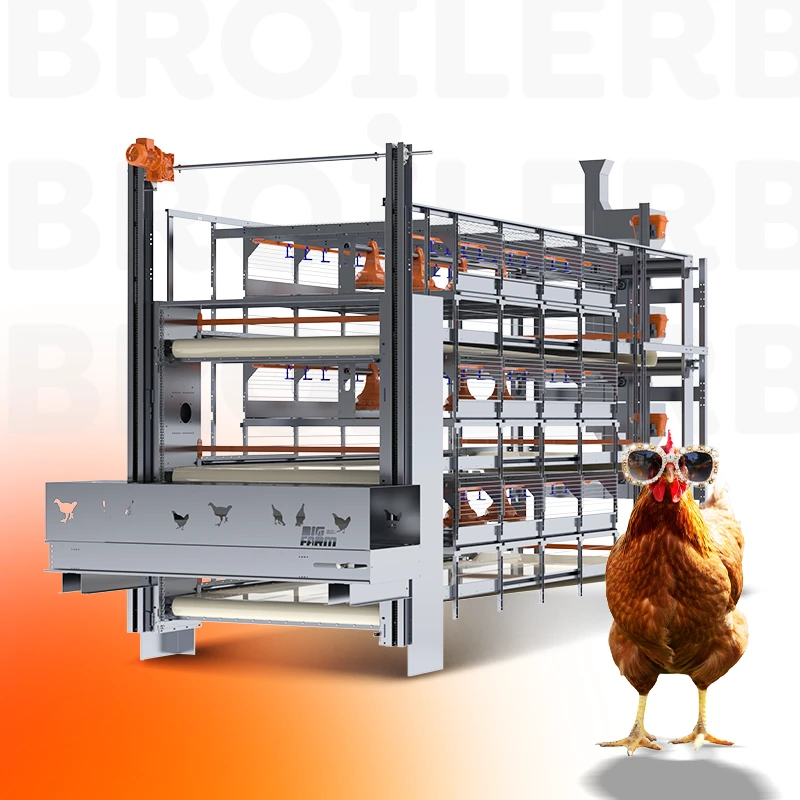 Broiler Kafesi