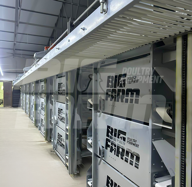 Yumurta Toplama Sistemi