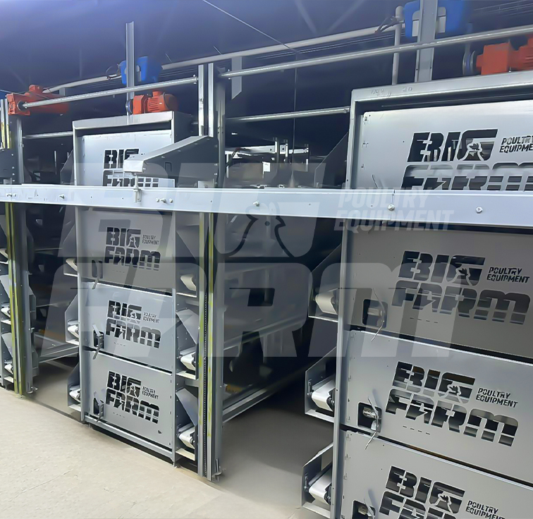 Yumurta Toplama Sistemi