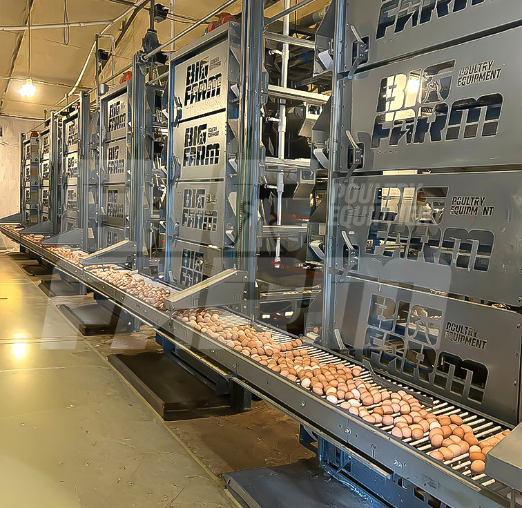 Yumurta Toplama Sistemi