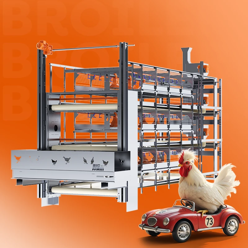 Broiler Sevk Sistemi