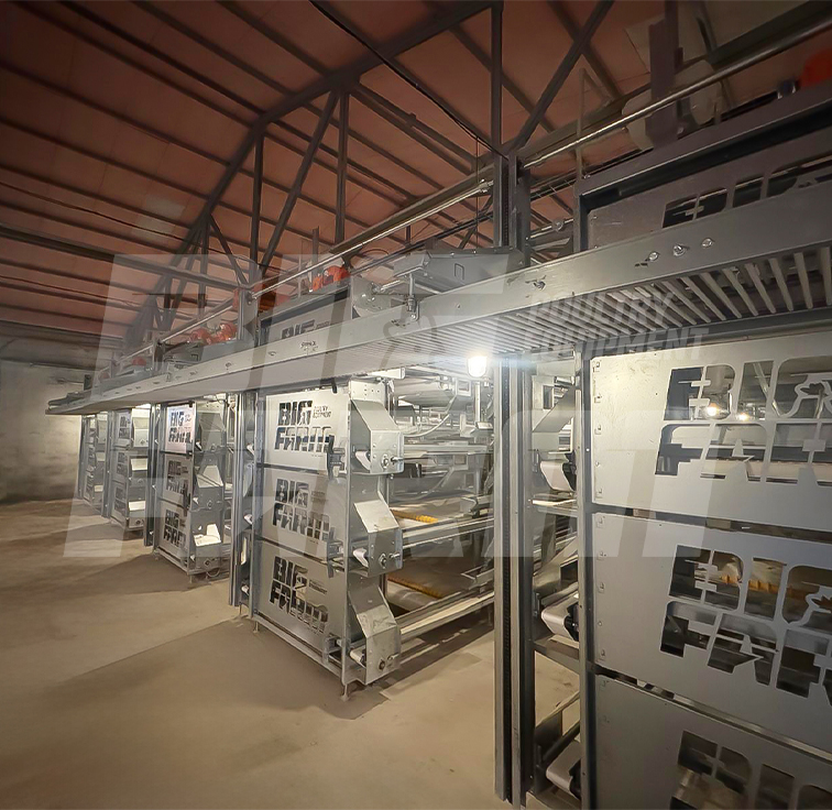 Yumurta Toplama Sistemi